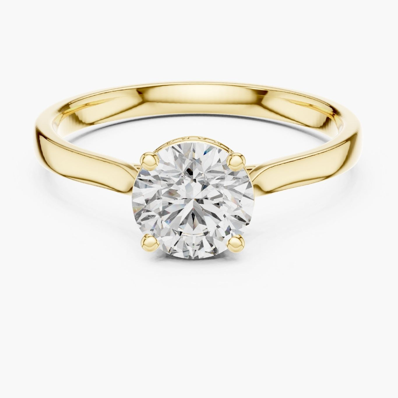 Elysian 1ct Round Hidden Halo Ring