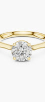 Elysian 1ct Round Hidden Halo Ring