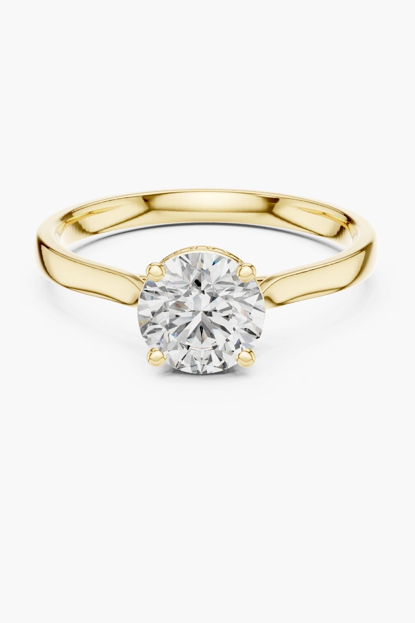 Elysian 1ct Round Hidden Halo Ring